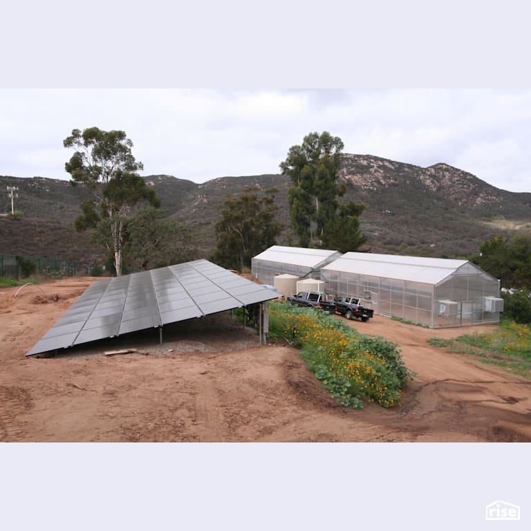 Solar photovoltaics with Outdoor Gardens by Alliance Green Builders