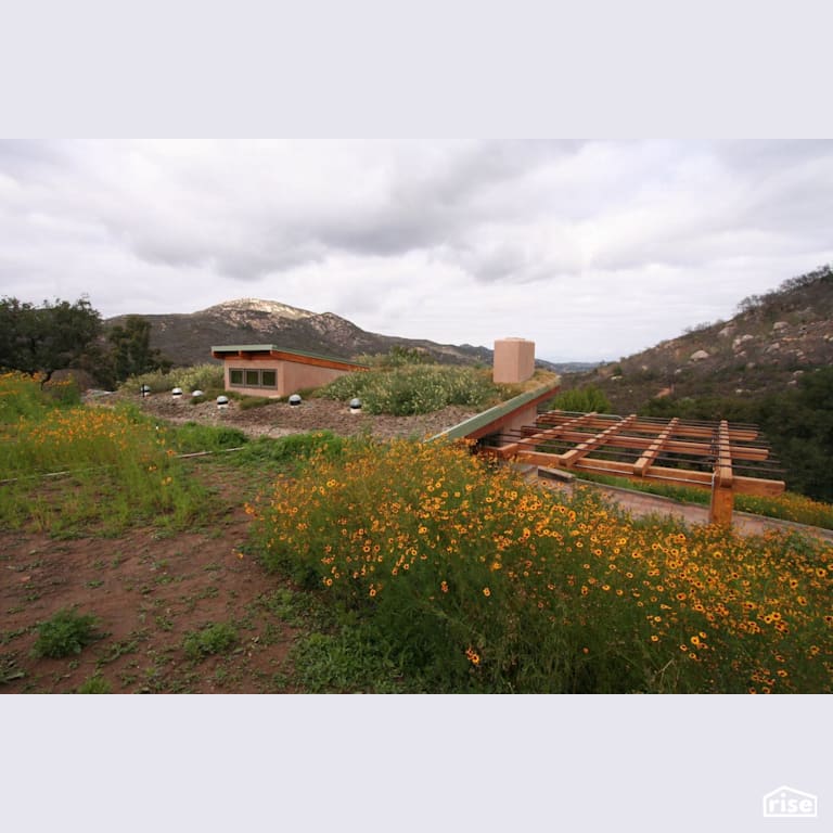 Exterior with Green Roof - Extensive by Alliance Green Builders