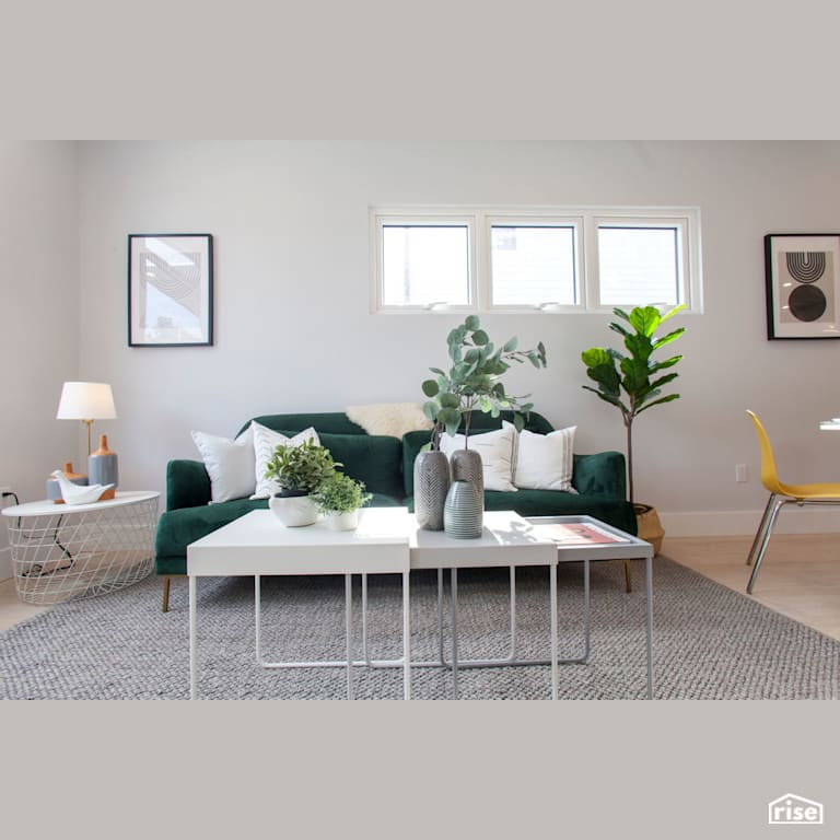 Black Street Development Living Room with Carpeting by Module