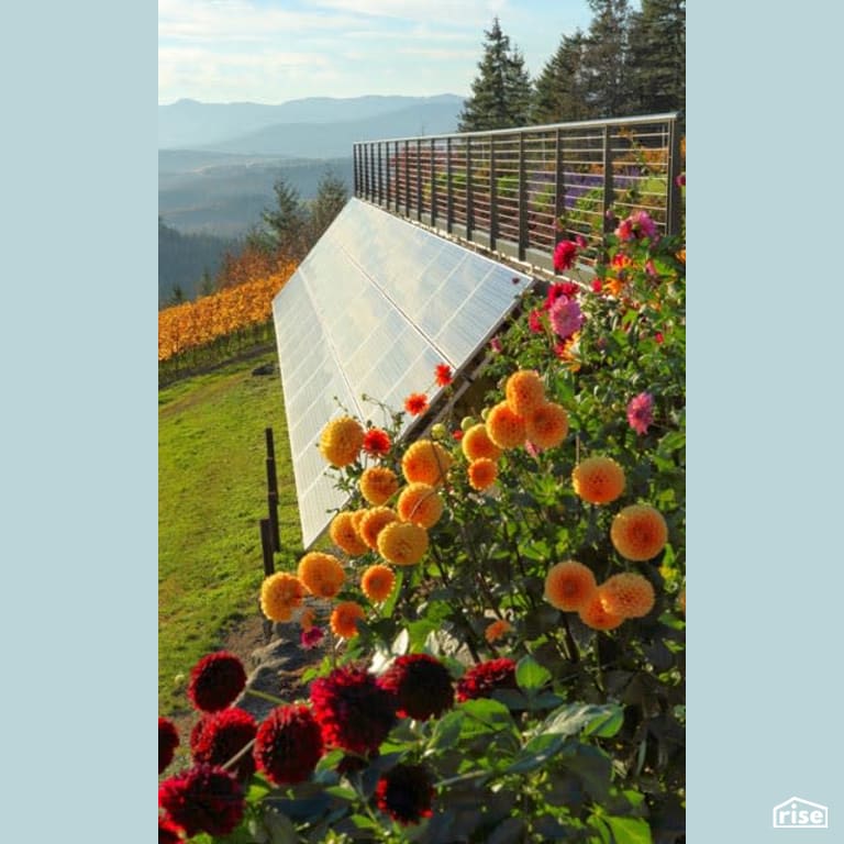 Solar Panels with Grid-Connected Solar Panel by Winsome Construction