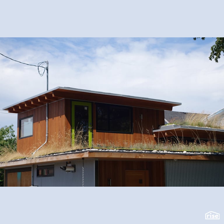 Roof Access with Green Roof - Extensive by MIZA Architects