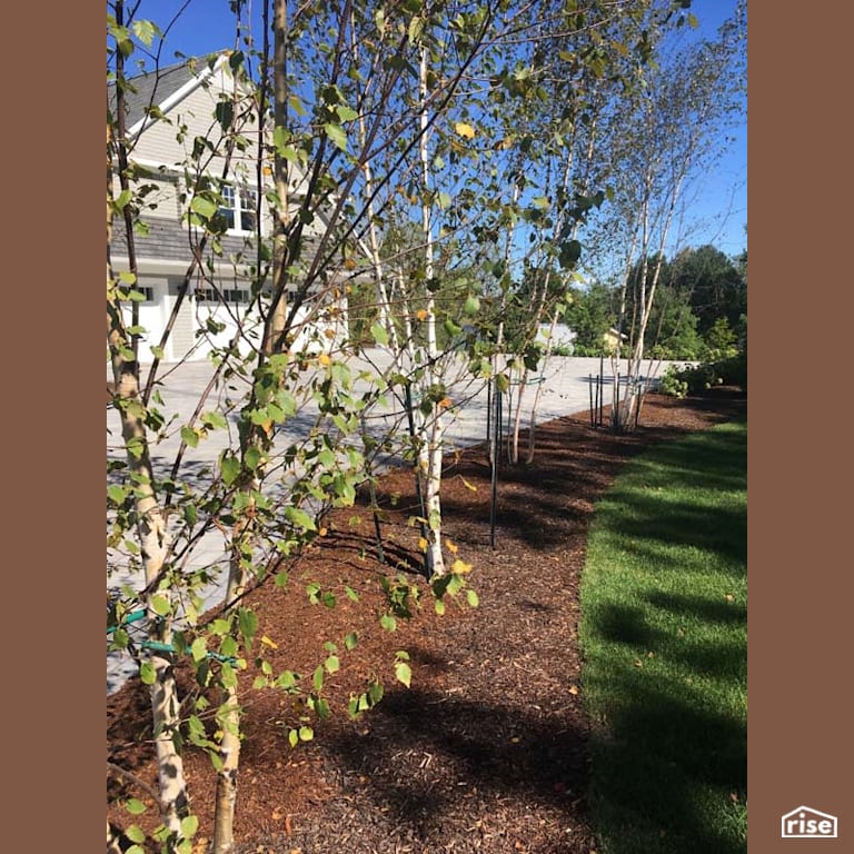 Front Landscaping with Wood Mulch by Earthworks Landscape & Design