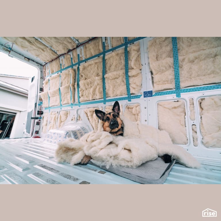 Even dogs can get into it! with Sheep's Wool Batt Insulation by Havelock Wool