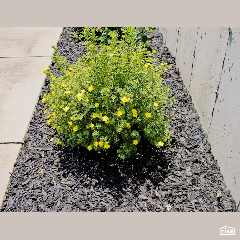 SuperShred Mulch by TRACC with Recycled Rubber Mulch by TRACC