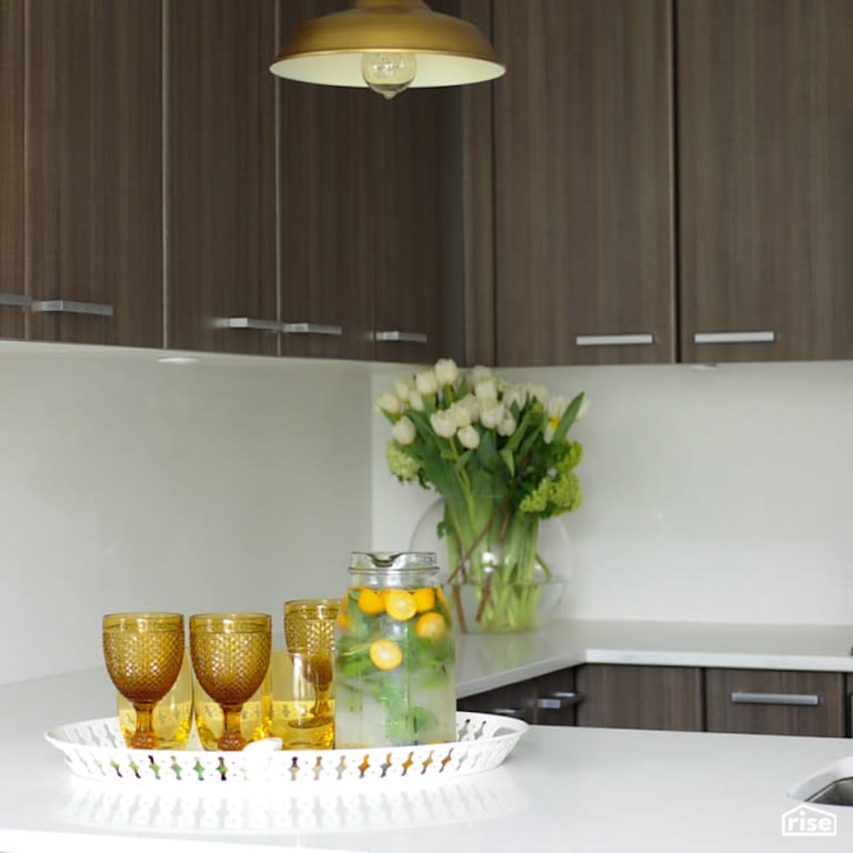 Kitchen with Wood Veneer Cabinet by PlaidFox
