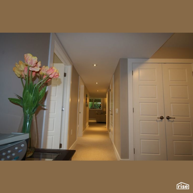 107 Olive - Hall with Ceiling Light by Whitestone Developments
