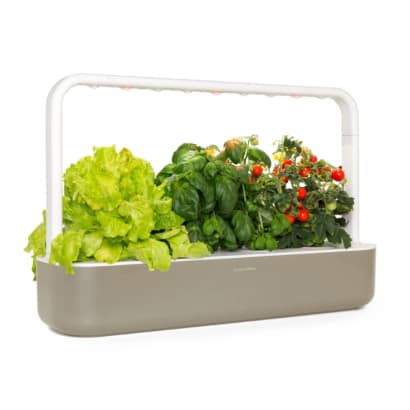 Gardening & Outdoor