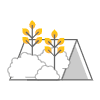 Green Roof - Intensive