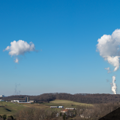 What You Can Do to Capture Carbon