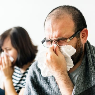 Allergy Standards: A Homeowner’s Guide