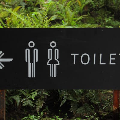 A Guide to Composting Toilets
