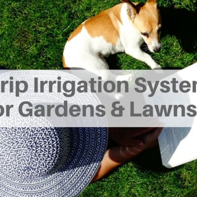 How to Conserve Water: Drip Irrigation Systems