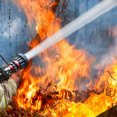 Firewise Offers a Framework for Community-Level Wildfire Preparedness 