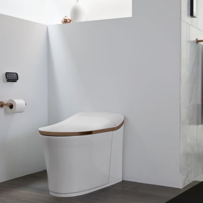 Self-Cleaning Toilets: The Pros and Cons