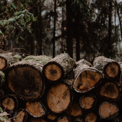 Learn about FSC Certified Hardwood