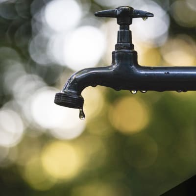 Water Ratings Identify Homes that Conserve Every Drop