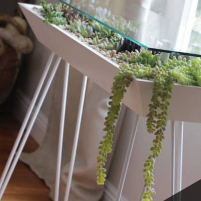BloomingTables: Show Off Your Succulents