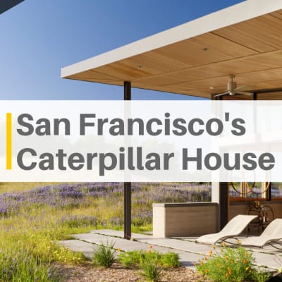 A Tour of California's Caterpillar House