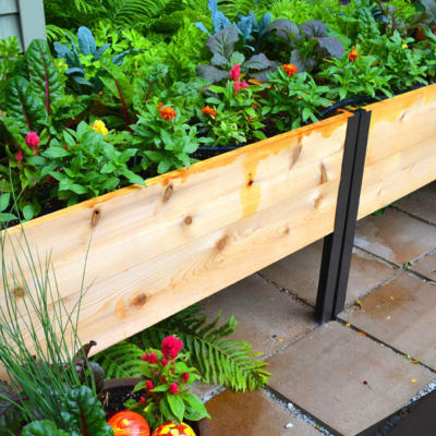 Learn about Reclaimed Wood Decking