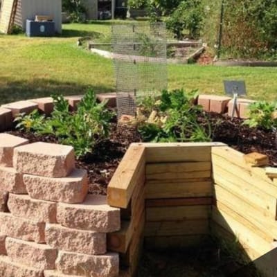 Small Scale Farming for Your Backyard: The Keyhole Bed