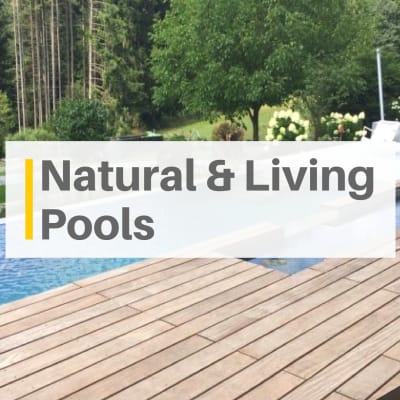Natural and Living Pools: An Alternative to Chlorine