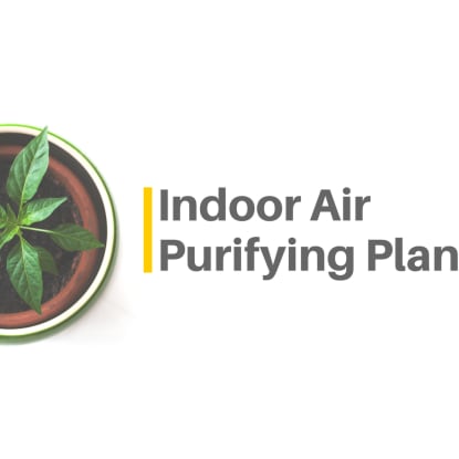 Apartment Air Purification Methods: A Comprehensive Guide
