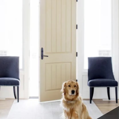 Everything you need to Know about Exterior Doors