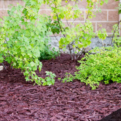 Recycled Rubber Mulch vs. Wood Mulch - Pros and Cons