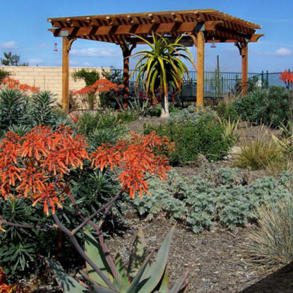 The Benefits of Xeriscaping