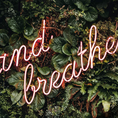 Air Purification Header