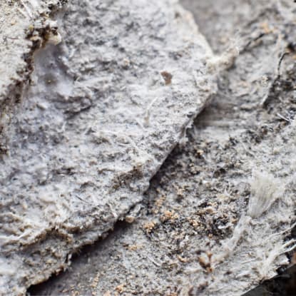 Asbestos Header