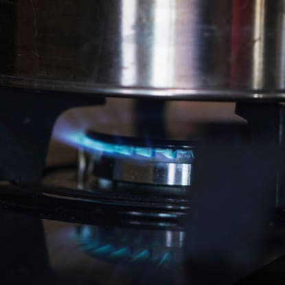 Home Bio-Digesters: How to Convert Waste Into Cooking Fuel