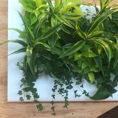 Biome Air Purification System