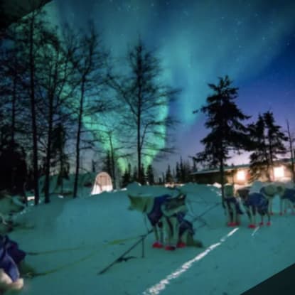 Living Off-Grid and Debt-Free: A Dog Musher’s Story