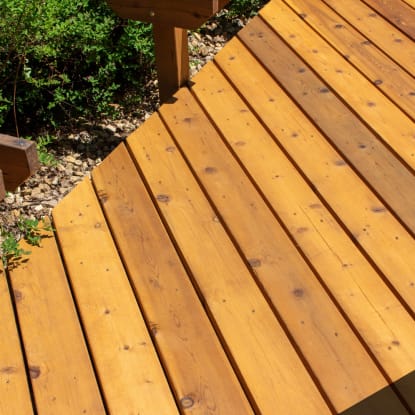 Your Guide to the Most Durable Wood Species for Outdoor Use