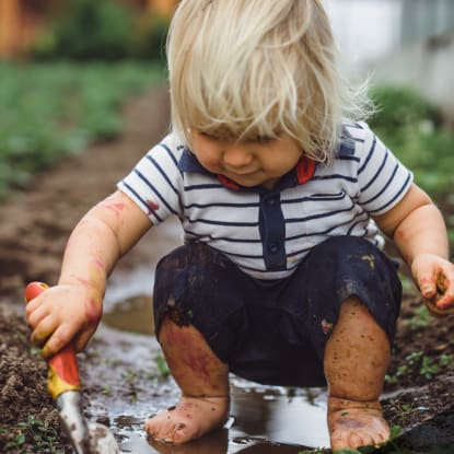 Healthy Garden
