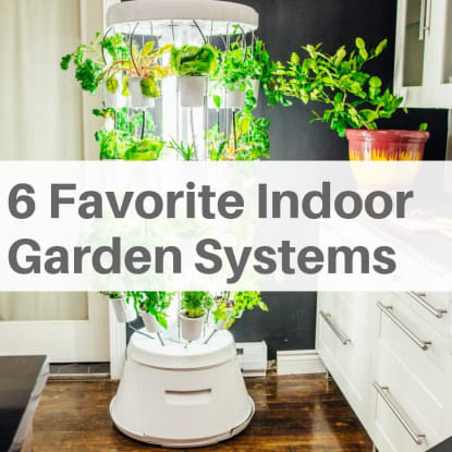 6 favourite indoor gardens