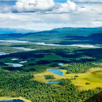 Why Location Matters to the Sustainability of Your Home