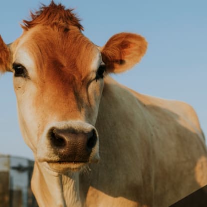 Methane and Your Home: What You Need to Know