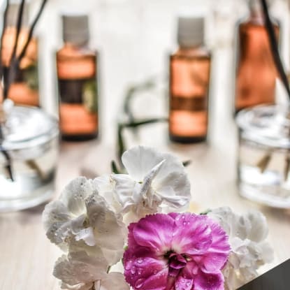 Are Air Fresheners and Deodorizers Safe?