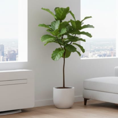 public/Ortech_SOLO_12_All_in_One_Heat_Pump