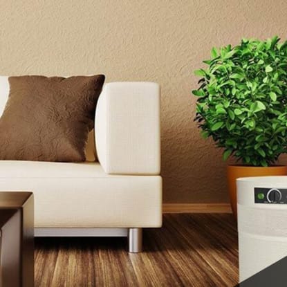 The 5 Best Air Purifiers