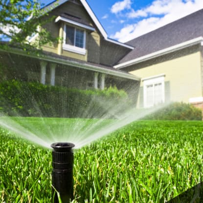 water smart landscaping