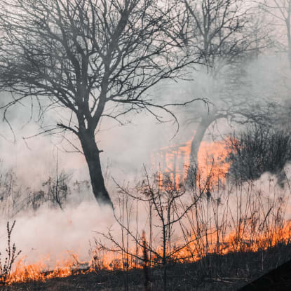 Tips to Protect Your Home From Wildfires