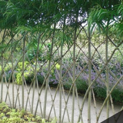 creative permaculture