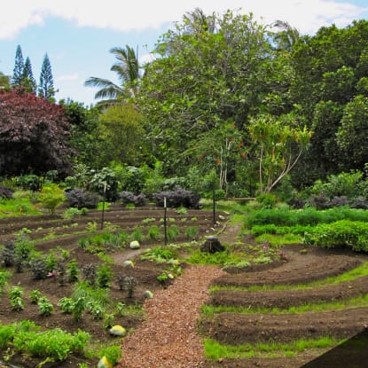 Using Permaculture Design to Analyze Your Property