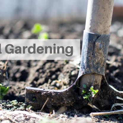 Growing Your Own Food Year-Round: Your Guide to Fall Gardening