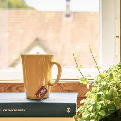 wood window frame