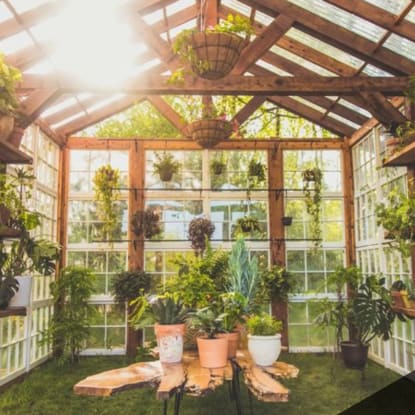 healing greenhouse