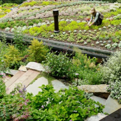 Green roof maintenance
